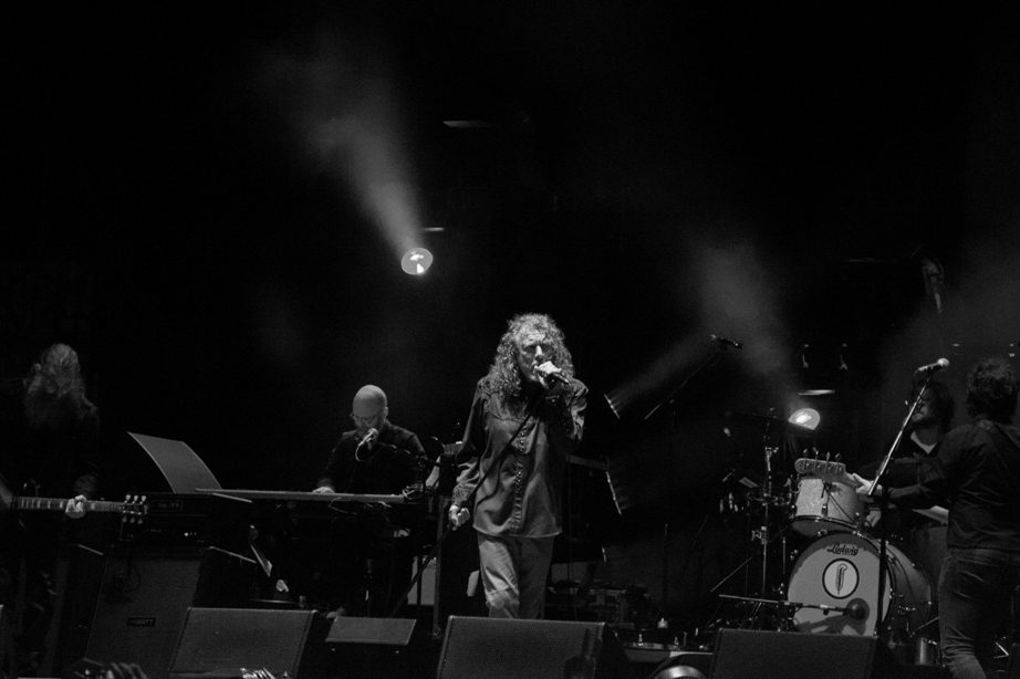 Il_Blues_Magazine_Plant_1