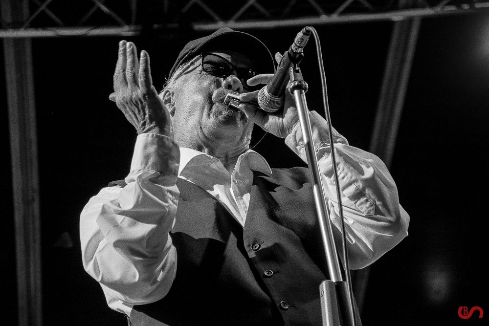 Curtis Salgado - SJ25