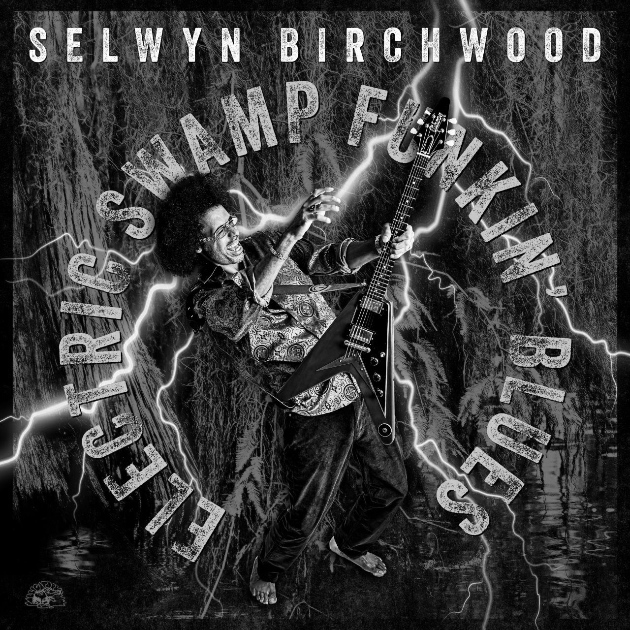 selwyn birchwood