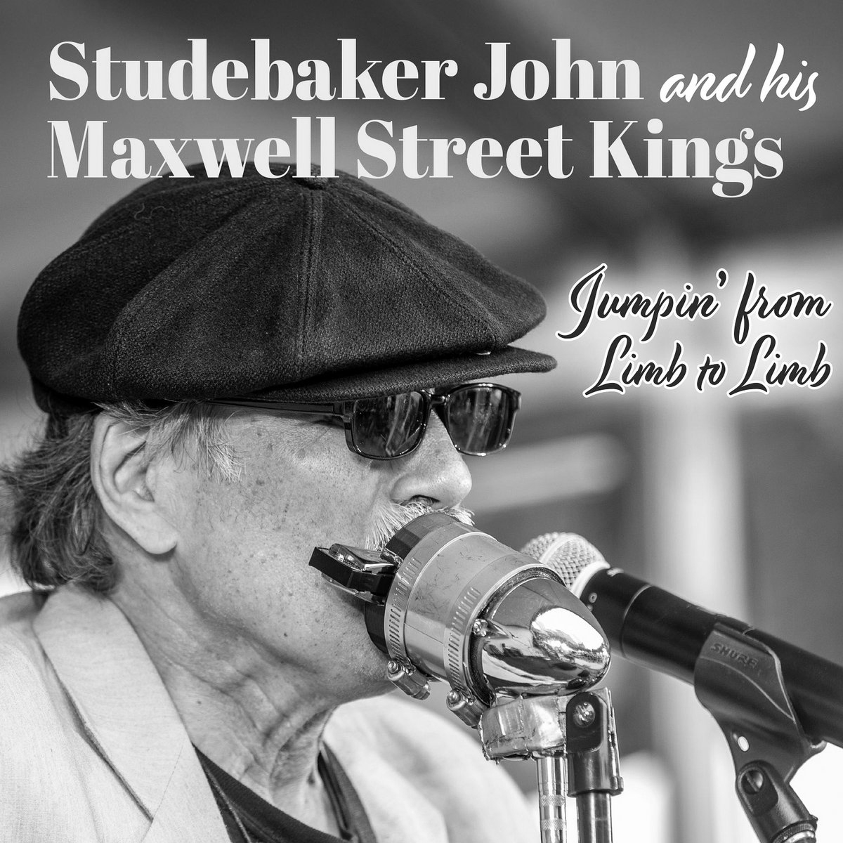 Studebaker John-Jumpin From Limb To Limb