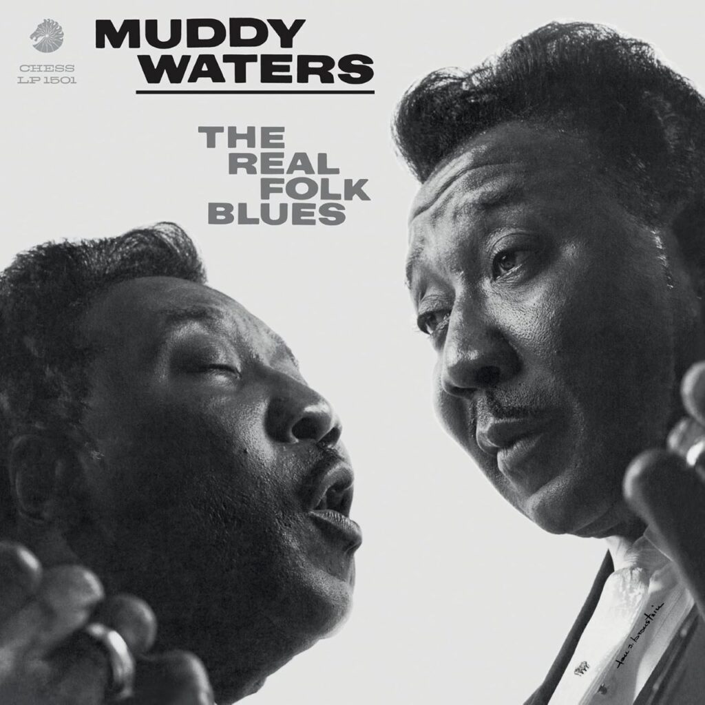 muddy waters